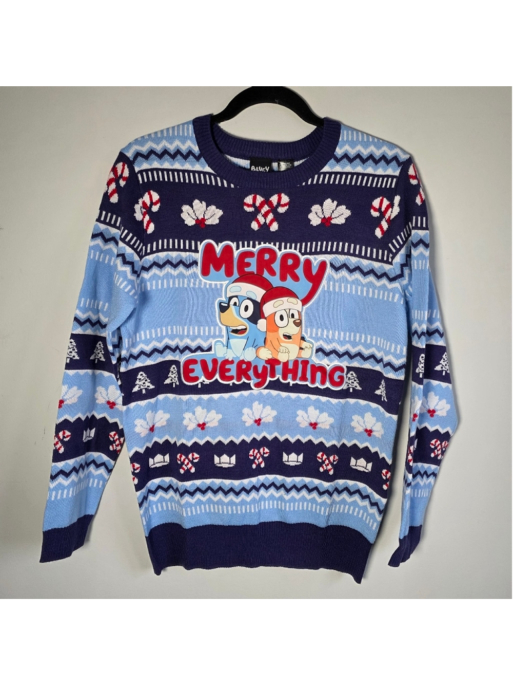 Bluey Merry Everything Ugly Christmas Sweater Holiday Knit Cartoon Pullover XXL